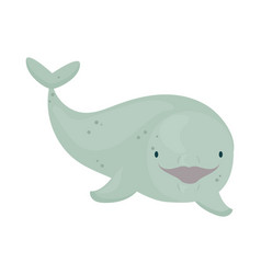 Beluga Whale Design