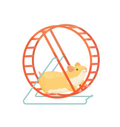 Hamster Running In The Wheel