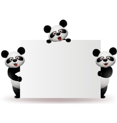 Three Pandas With Blank Sign