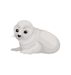 Charming Gray Seal Pup Lying Isolated On White