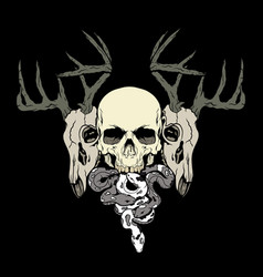 Skull And Deer Head