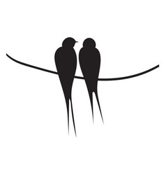 Pair Of Black Swallow On Wire Sitting Birds