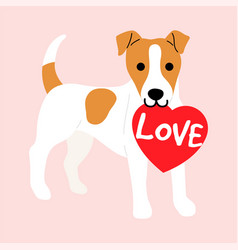 Jack Russel Terrier Holds Heart Shape Card