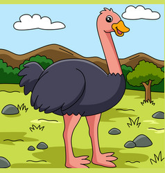 Ostrich Cartoon Colored