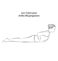 Sketch Of Ardha Bhujangasana