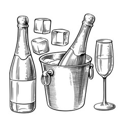 Bottle Of Champagne And Glass Beverage Drawing