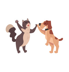 Funny Cat And Dog Together Giving High Five