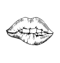 Sketch Monochromatic Drawing Bitten Lip