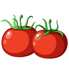 A Simple Tomato Cartoon Isolated