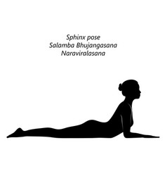 Silhouette Of Salamba Bhujangasana