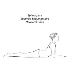 Sketch Of Salamba Bhujangasana