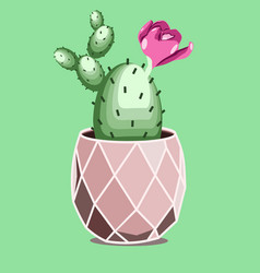 Cactus With Pink Flower In Clay Pot