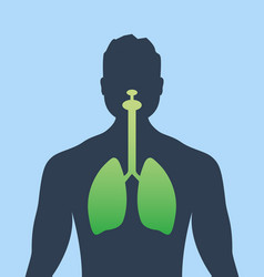 Lung Human Icon Respiratory System Healthy Lungs Vector Image