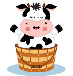 Funny Cow In A Wooden Bucket