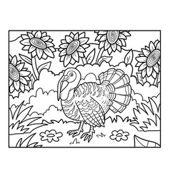 Coloring Book For Children Turkey And The Meadow