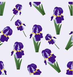 Iris Pattern