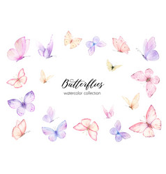 Pink Violet Butterflies Border Frame Watercolor