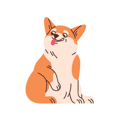 Cute Welsh Corgi Sitting Funny Amusing Dog