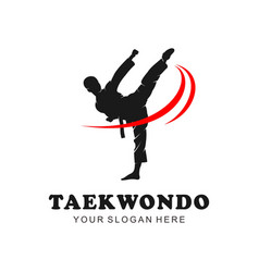 Taekwondo Sport Flat Style Icon