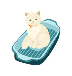 Cat Sitting In Litter Box