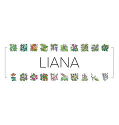 Vine Liana Exotic Growing Plant Icons Set