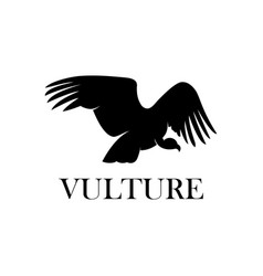 Vulture Flat Style Logo