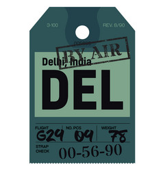 Delhi Airport Luggage Tag