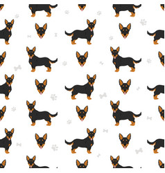 Lancashire Heeler Seamless Pattern Different