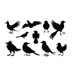 Pigeon And Crow Bird Black Silhouette Isolated