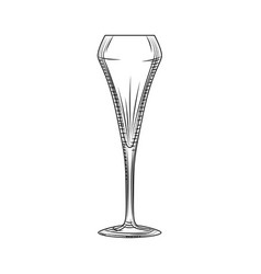 Tulip Glass Sparkling Wine Glass Hand Drawn Empty