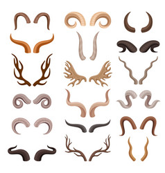 Horns And Antlers Of Wild Animals Isolated Big