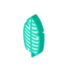 Stelizia Tropical Leaf Isometric Icon