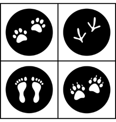 Human And Bird Feet Cat Dog Paws Black White Flat