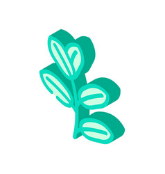 Zamioculcas Tropical Leaf Isometric Icon