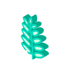 Royal Fern Tropical Leaf Isometric Icon