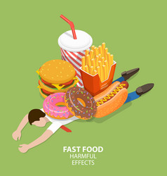 Fast Food Harmful Effects Junk Food Danger