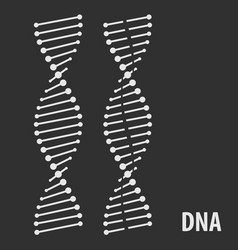 Dna Helix Icon Human Genetic Symbol