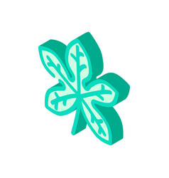 Fatsia Japonica Tropical Leaf Isometric Icon