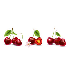 Cherry Realistic Compositions Set