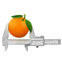 Horizontal Caliper Measures Orange Fruit