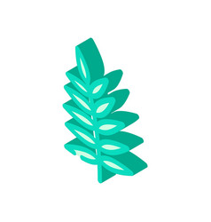 Chamaedorea Tropical Leaf Isometric Icon