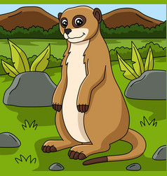 Meerkat Cartoon Colored