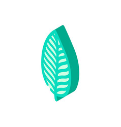 Calathea Tropical Leaf Isometric Icon