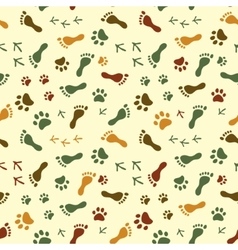 Human And Bird Feet Cat Dog Paws Colorful