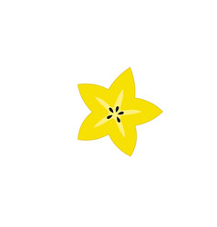 Starfruit Icon Design Template Isolated