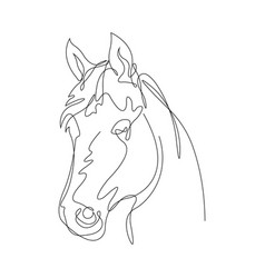 Head Of A Horse Drawn With One Solid Line