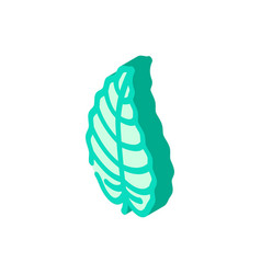 Philodendron Tropical Leaf Isometric Icon