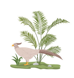 Bird And Plant