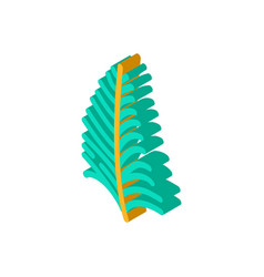 Coconut Tropical Leaf Isometric Icon