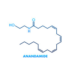 Anandamide Concept Chemical Formula Icon Label